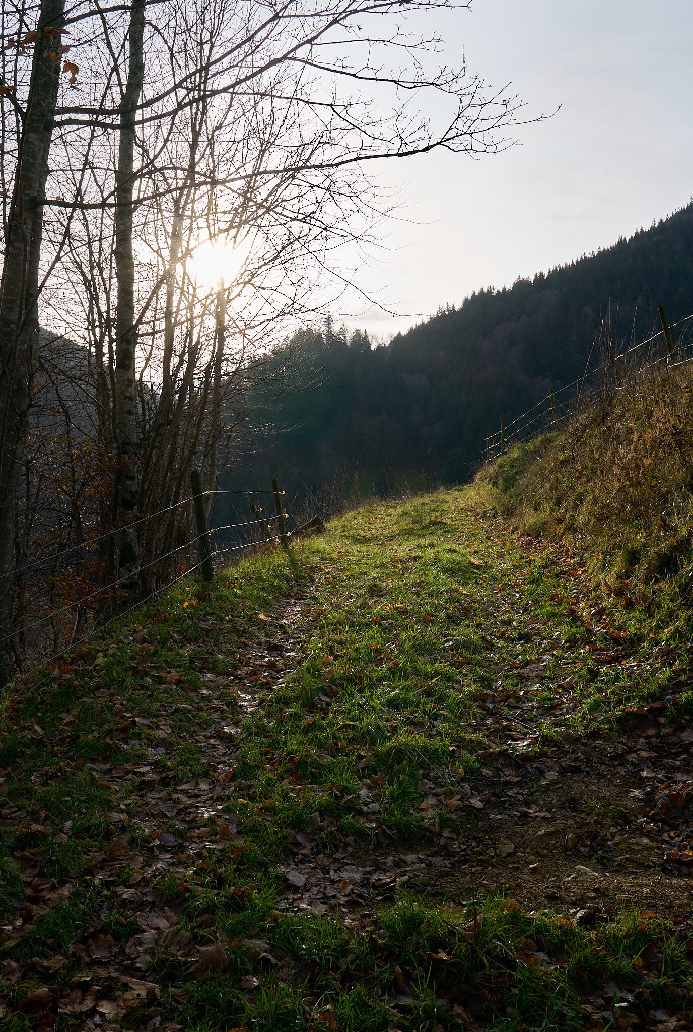  Obermünstertal in December 
