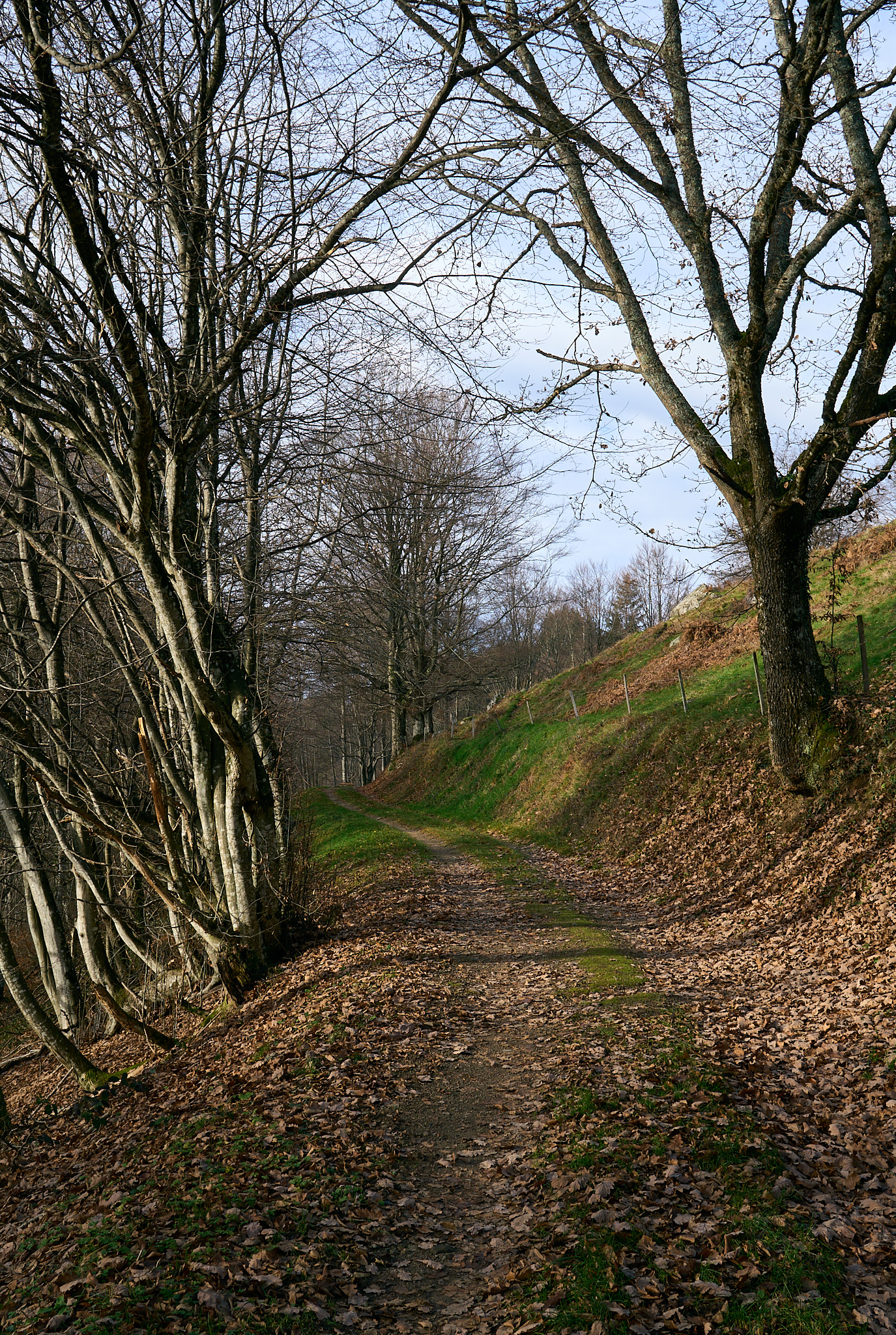  Track, Obermünstertal in December 