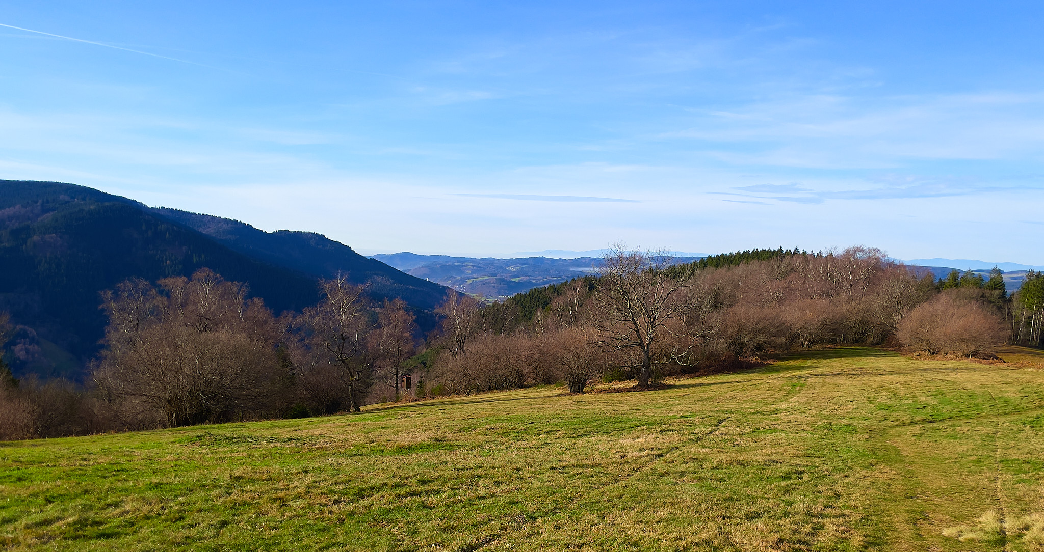  Plateau, Pfauen, Oberprechtal 