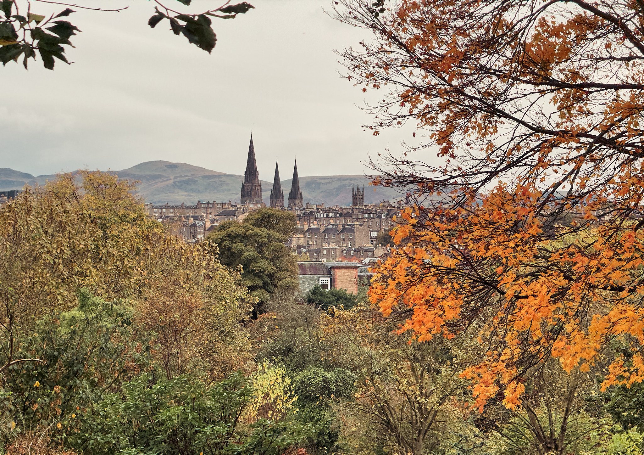  View of Edinburgh from the Royal Botanical Garden 