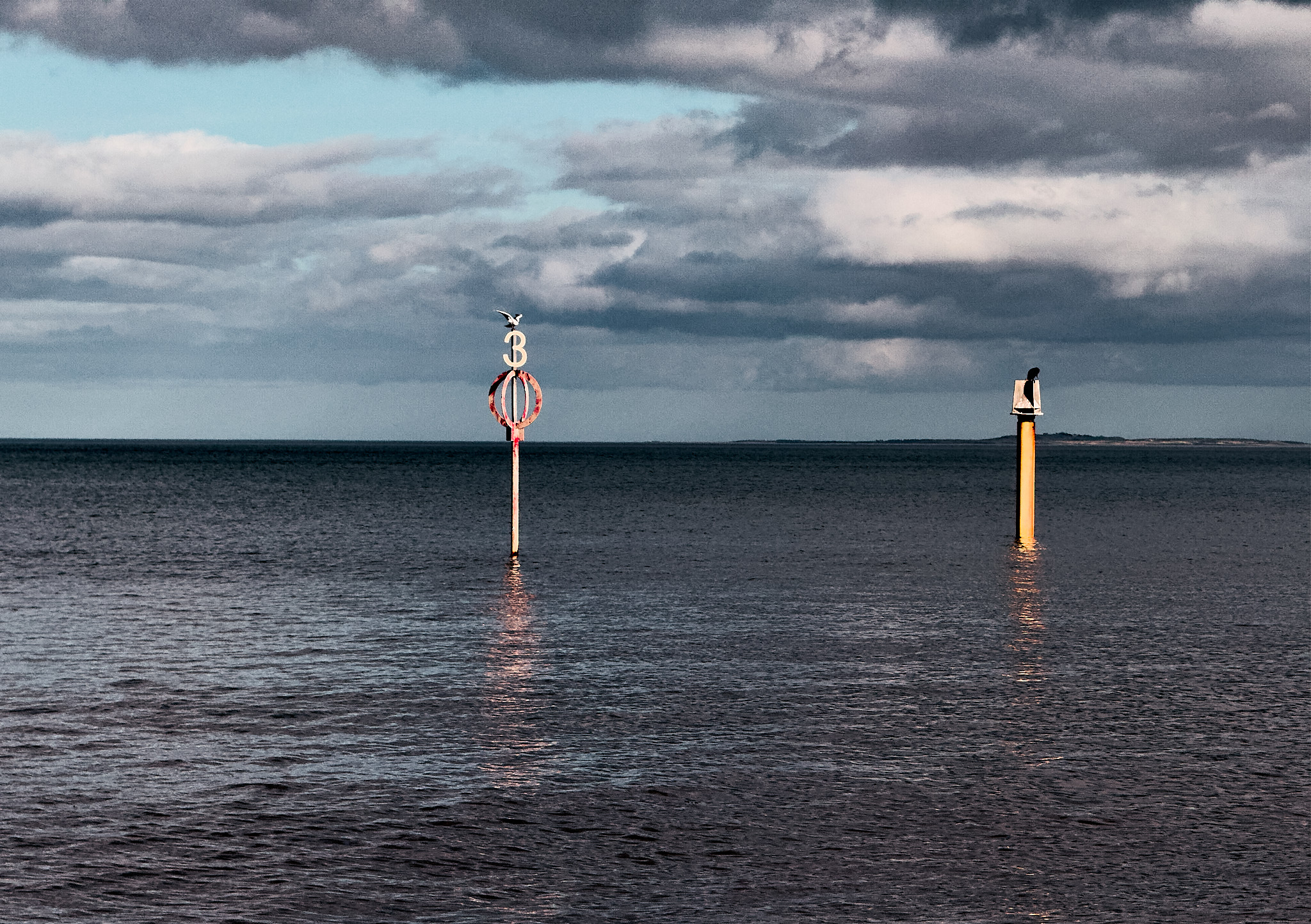  Protobella in Autumn 