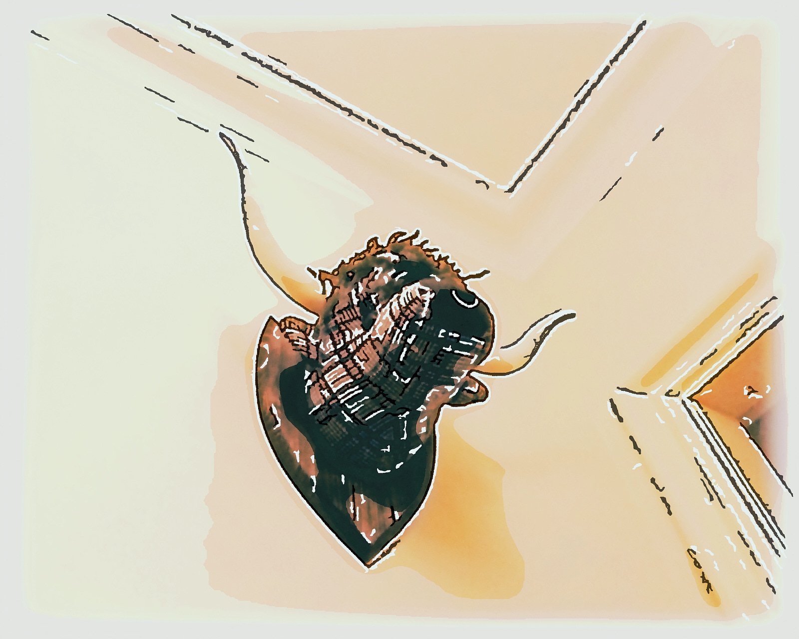  Details from our apartment 