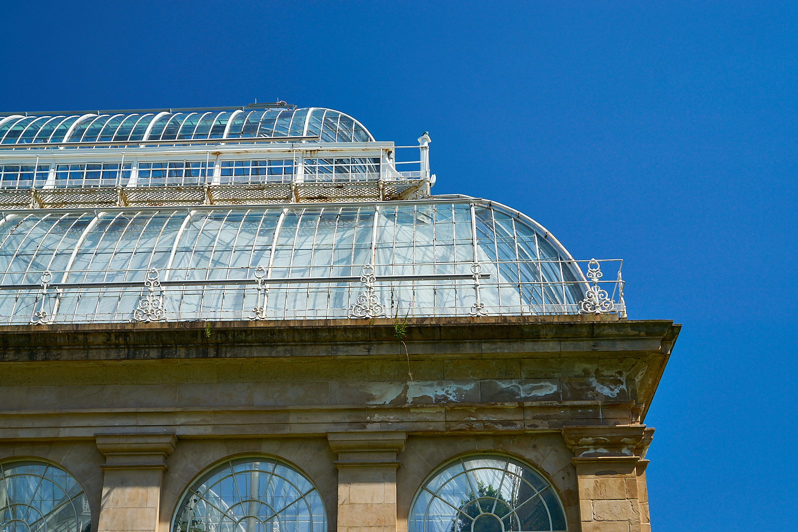  The Glass House, Botanical Gardens 
