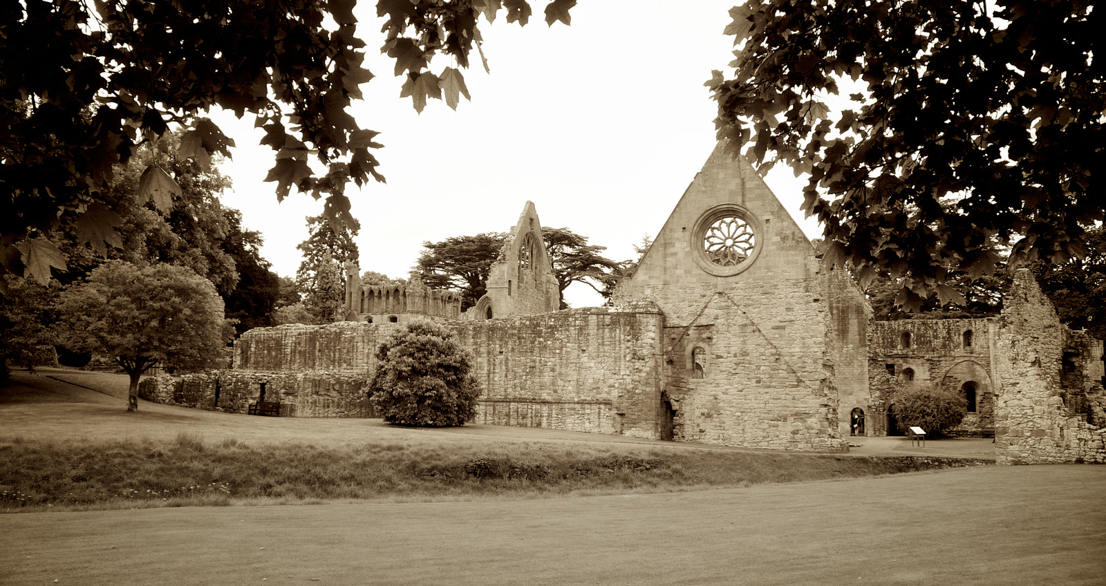  Dryburgh Abbey 
