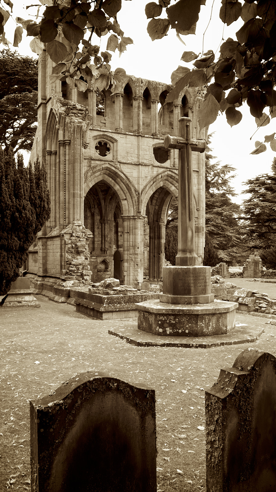  Dryburgh Abbey 