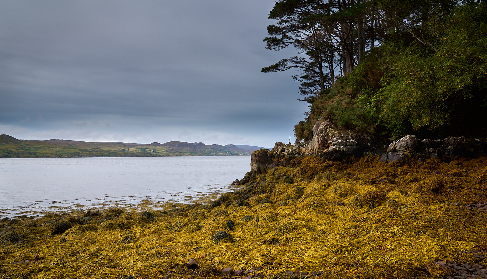  Inverewe Garden, Poolewe, West Coast 