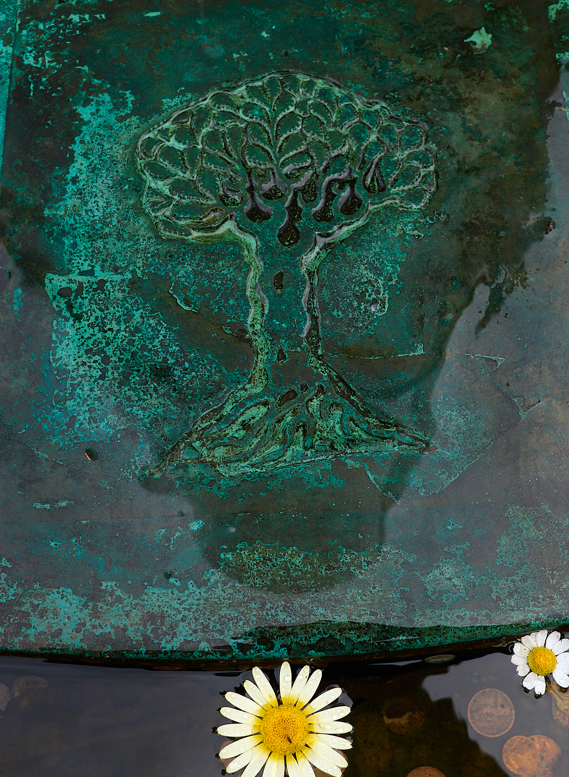  Cawdor Garden, East of Inverness 