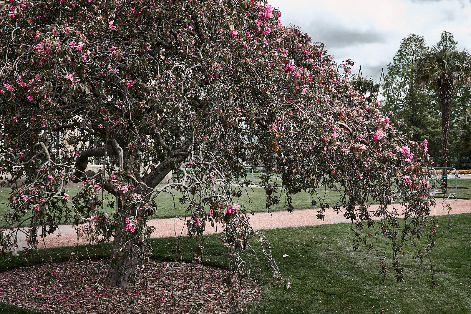  Edinburgh Botanical Garden 
