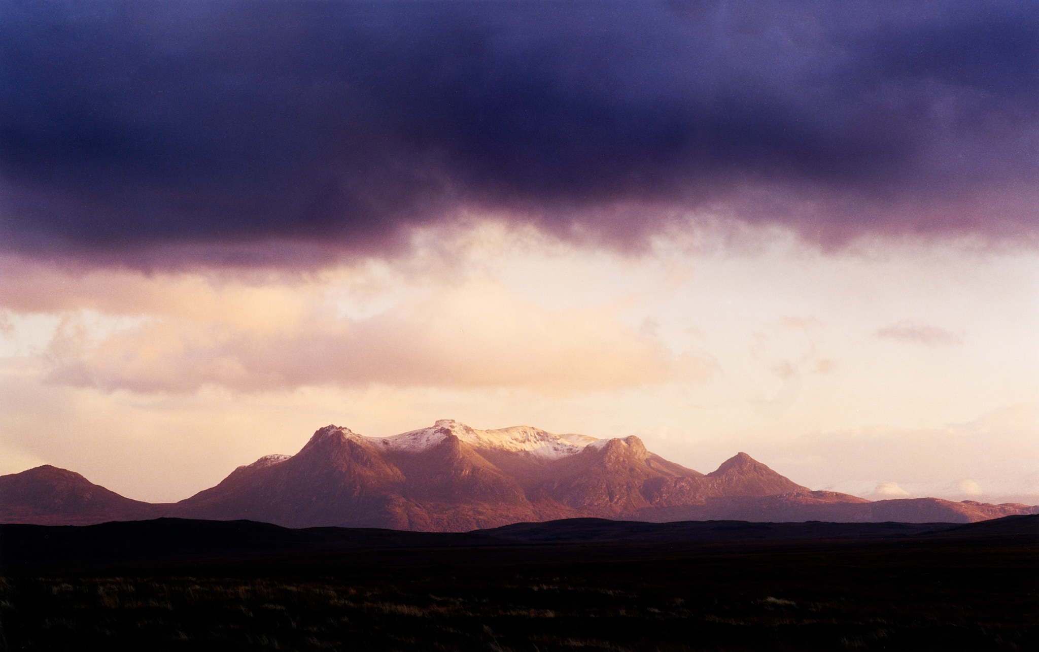  Ben Loyal 