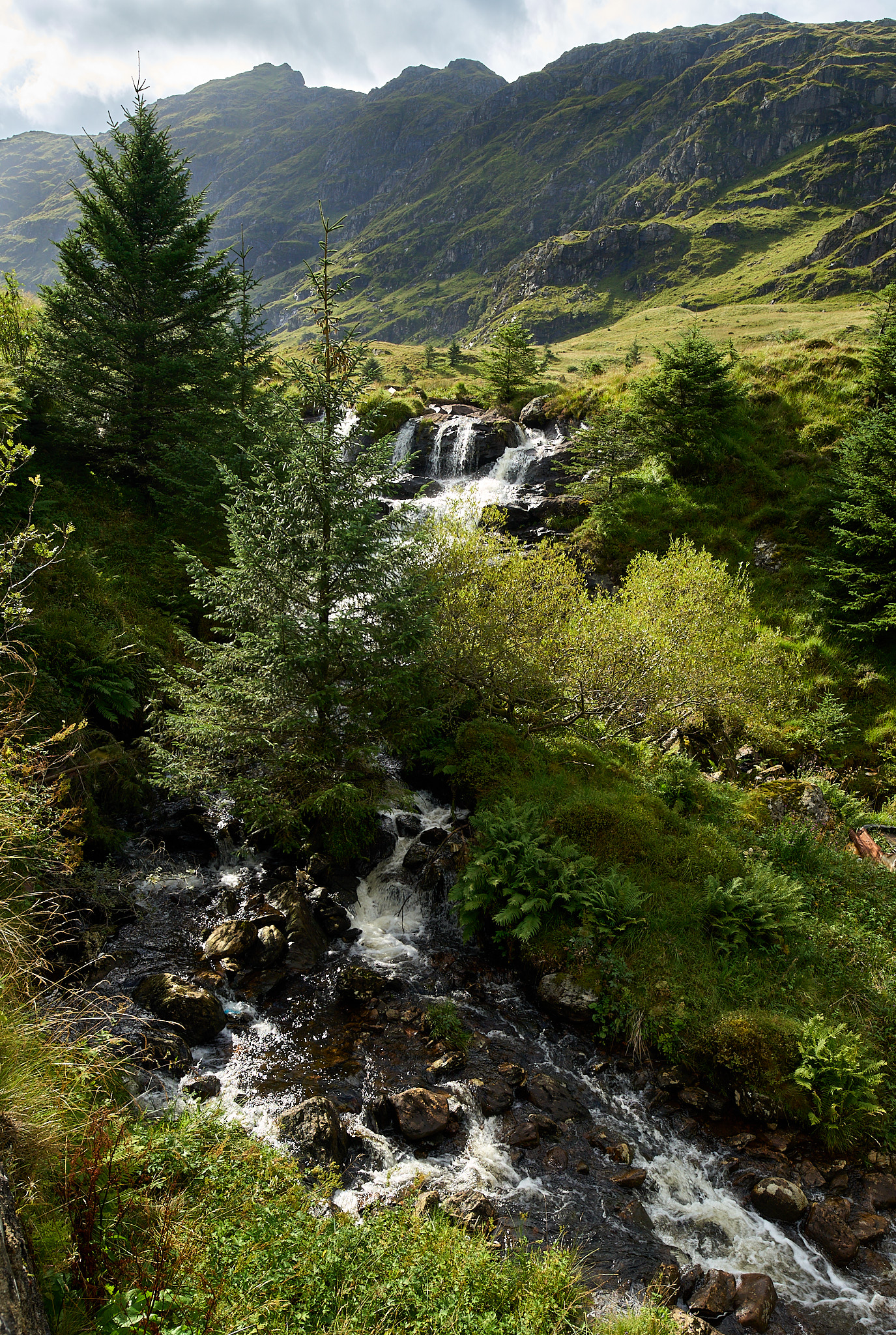  Small waterfall near Loch Restil and Butter Bridge 