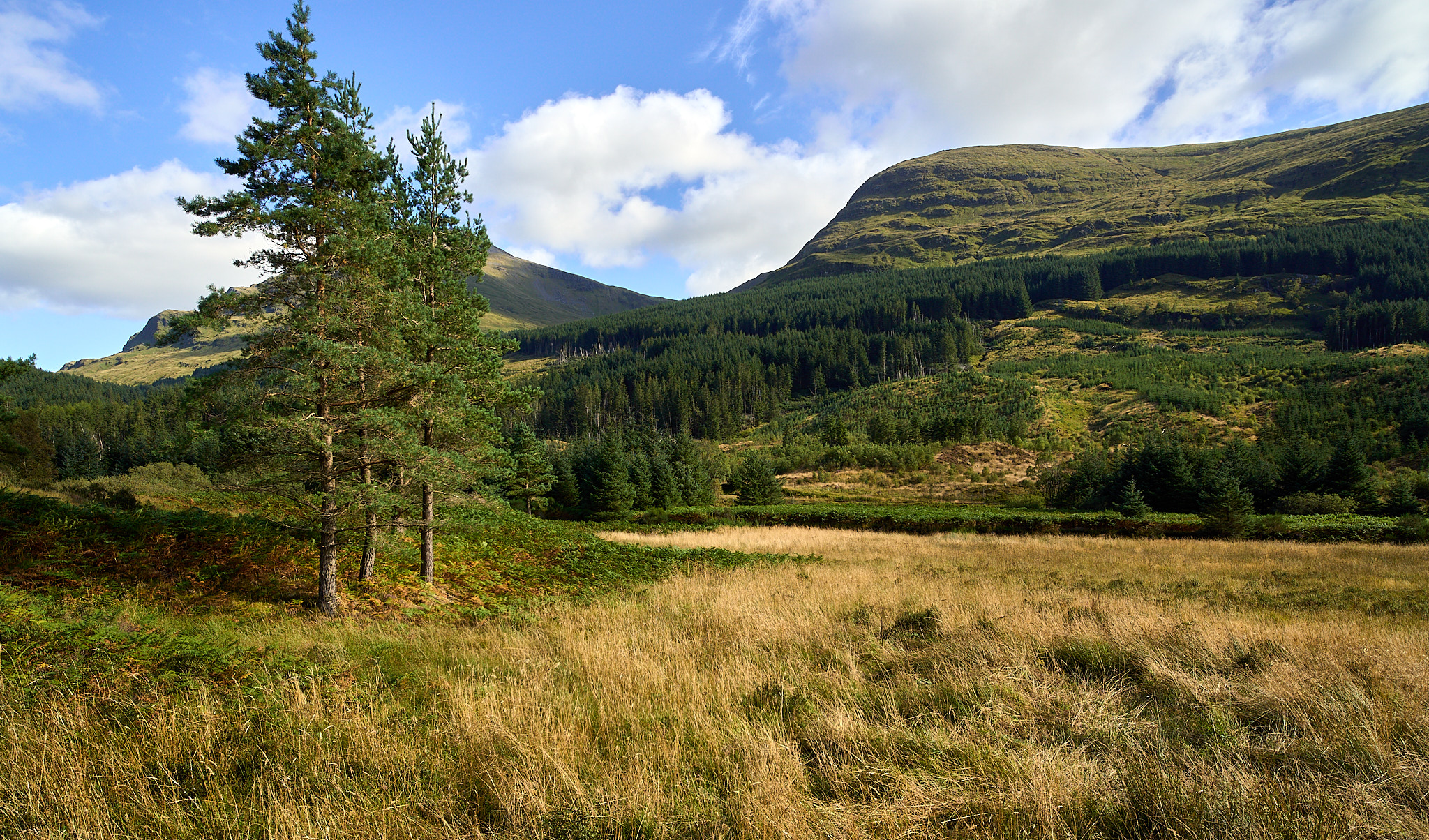  near Inverlochy, River Lochy 