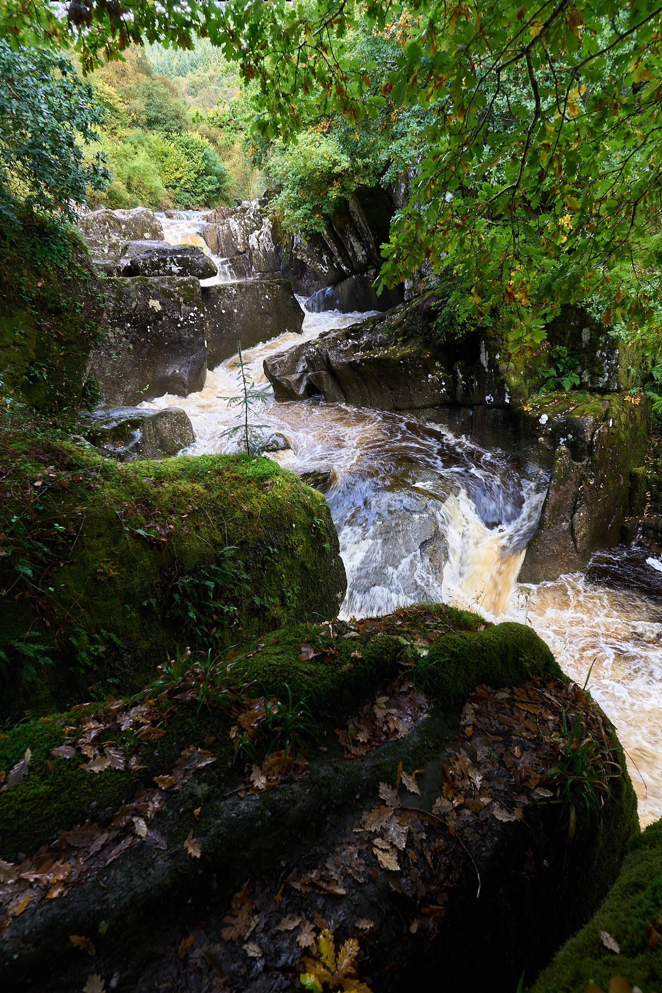  Bracklinn Falls, Callander, Trossachs 