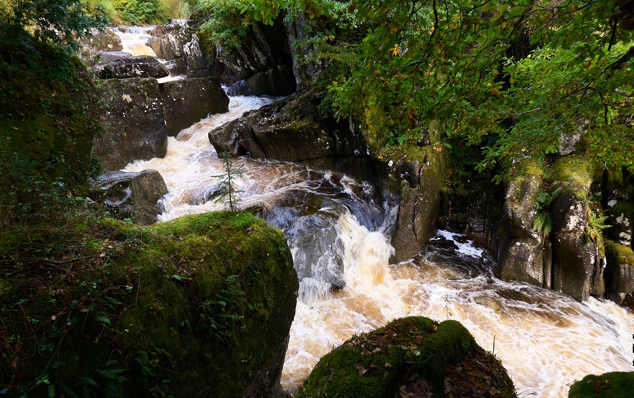  Bracklinn Falls, Callander, Trossachs 