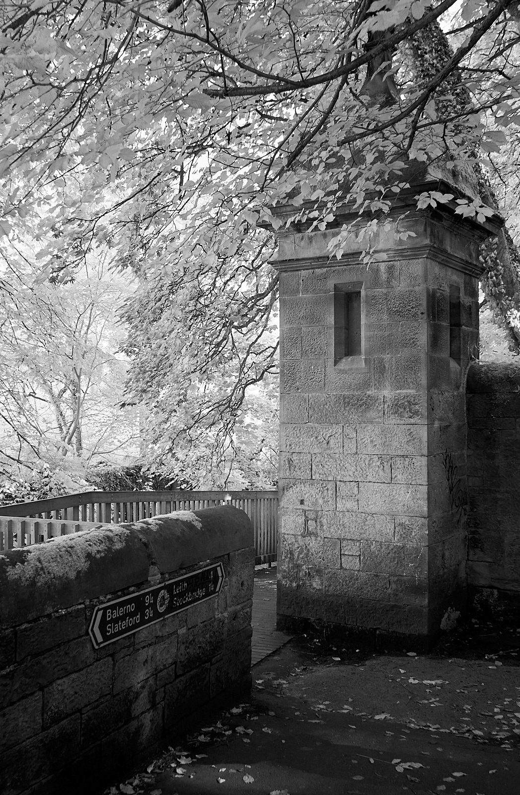  Water of Leith walkway, Edinburgh 
