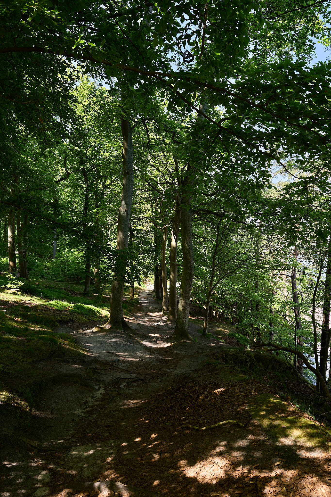  Steep Coast from above (Bansin) 