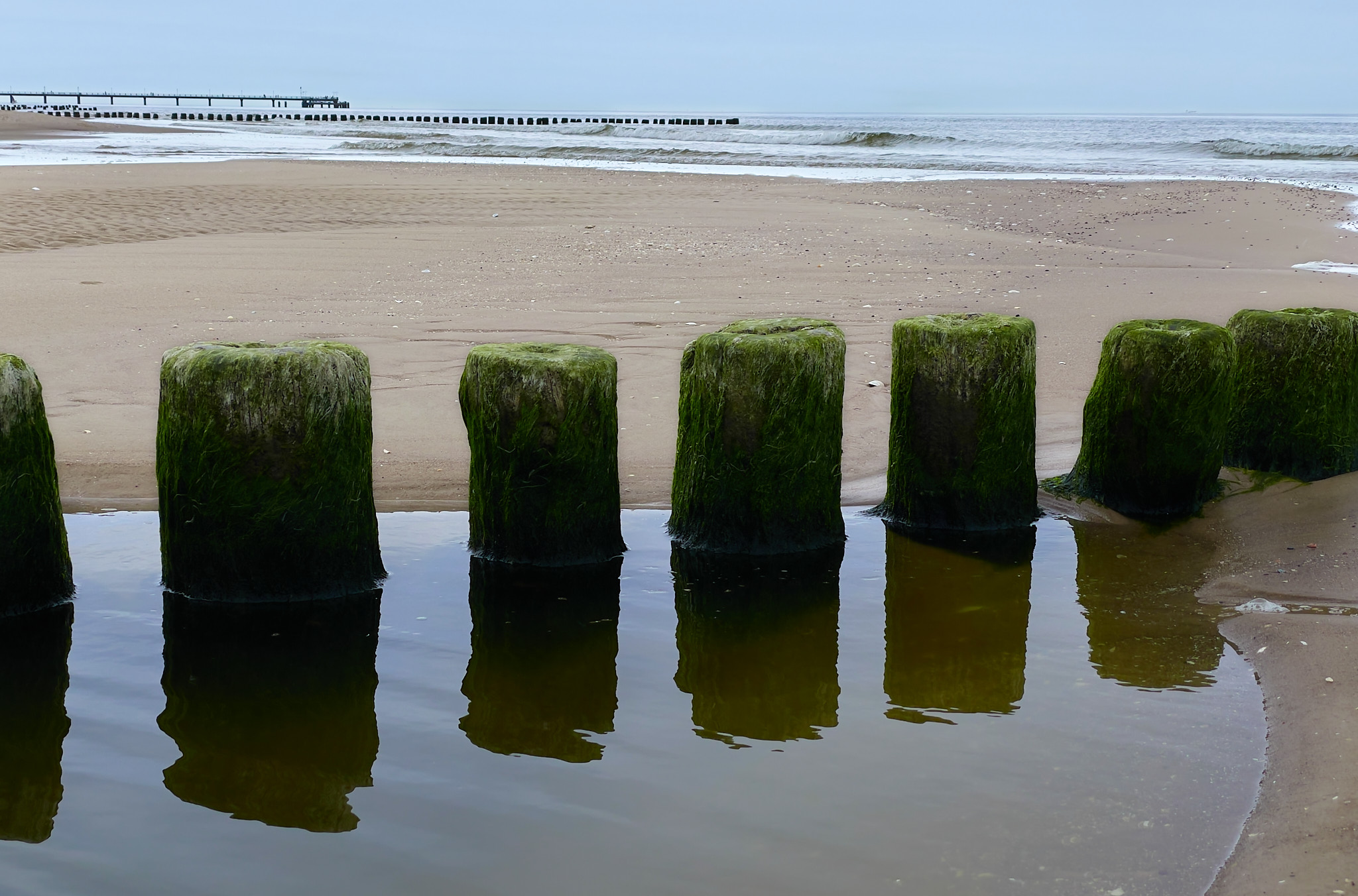  Piles and Pier 