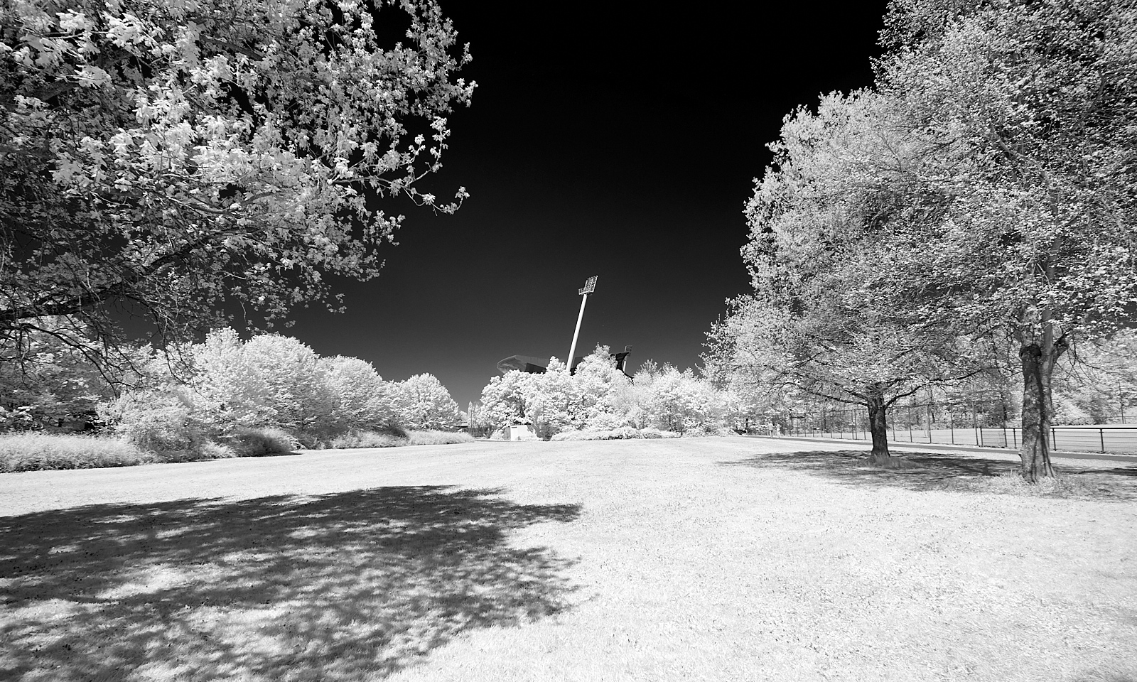  Markwasen sports ground 