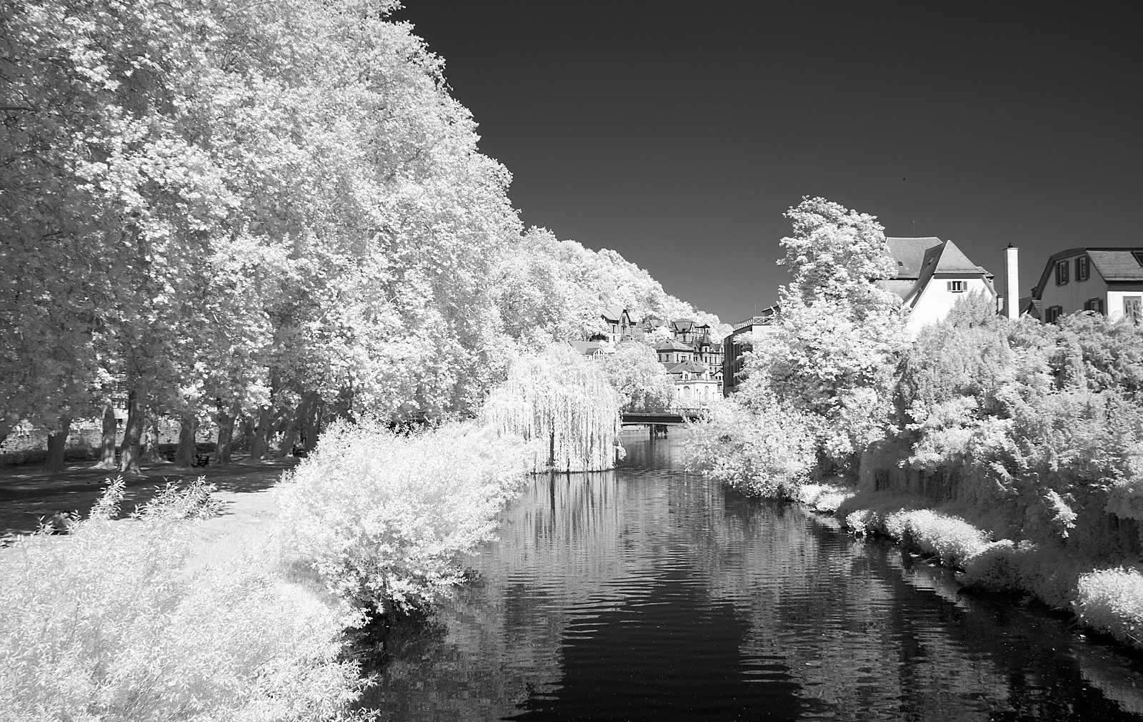  Plantanenalle, looking towrads Eberhardts-bridge 